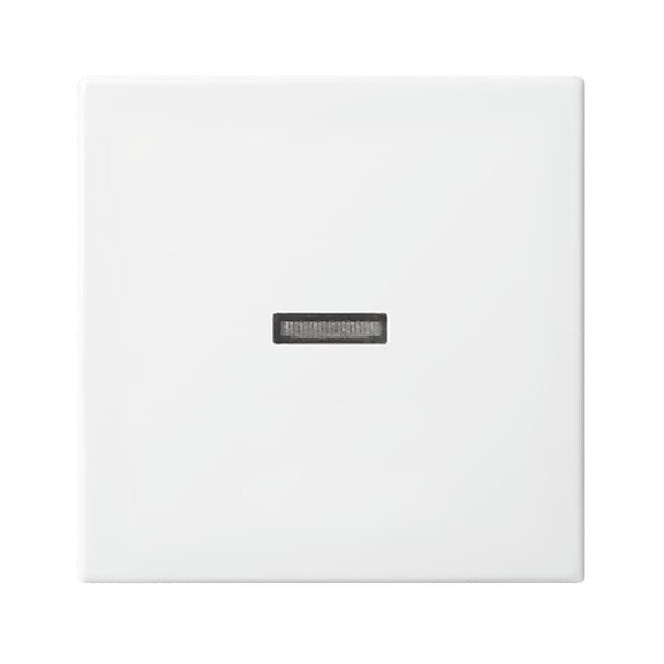 Busch-Jaeger Wippe aws Busch-balance SI 1789 N-914